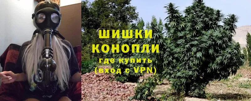 blacksprut как войти  Новомичуринск  Марихуана OG Kush 